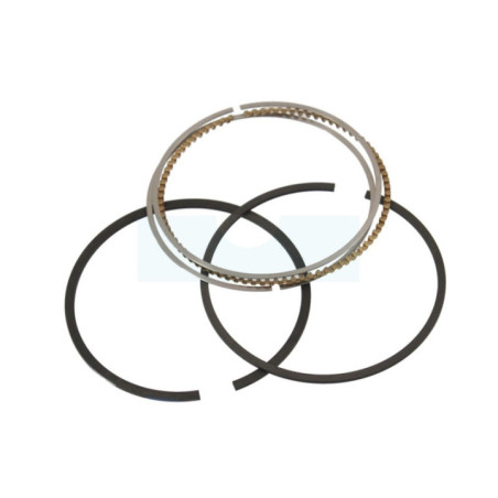 Kit segment pour moteur Briggs & Stratton (795690)