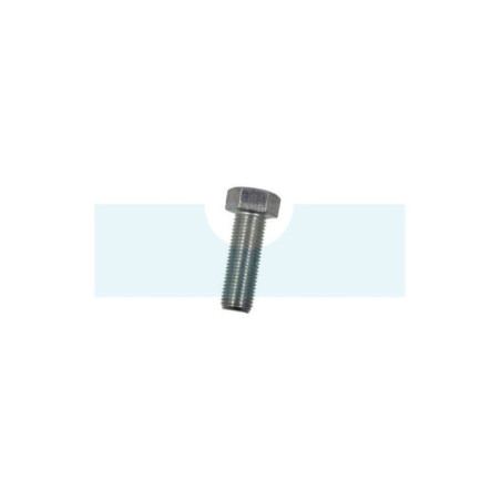 Vis de lame pour tracteur tondeuse Iseki (V2033612050)
