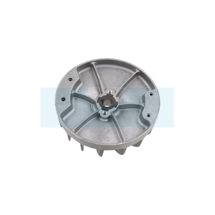 Volant d'allumage pour As Motor (E11725)