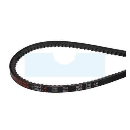 Courroie pour tondeuse Gianni Ferrari (00.17.00.0310)