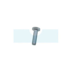 Vis de lame pour tracteur tondeuse Viking (90103452430)