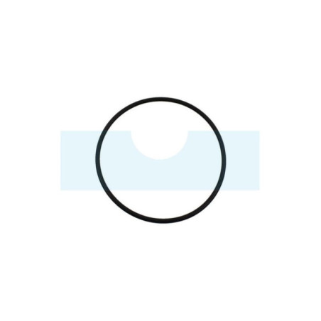 Joint torique 166 x 154 x 6 (OR1546P001)