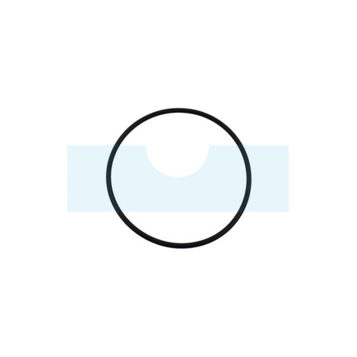 Joint torique 166 x 154 x 6 (OR1546P001)