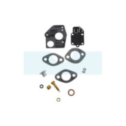 Membranes et joints de carburateur pour moteur Briggs & Stratton