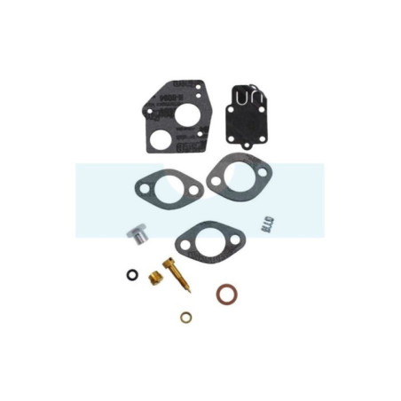 Membranes et joints de carburateur pour moteur Briggs & Stratton