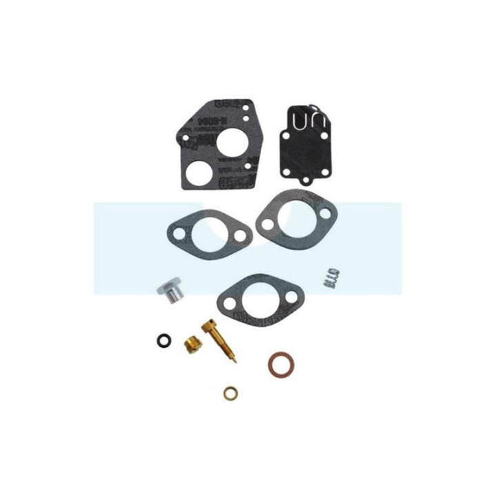 Membranes et joints de carburateur pour moteur Briggs & Stratton