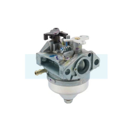 Carburateur pour moteur Honda (16100Z2D813)