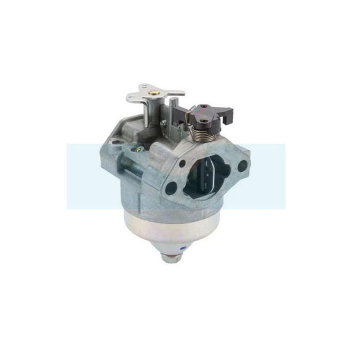 Carburateur pour moteur Honda (16100Z2D813)