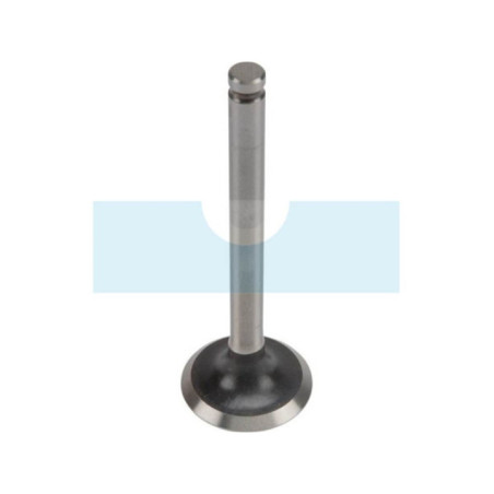 Soupape d'échappement pour moteur Kawasaki (120057006)