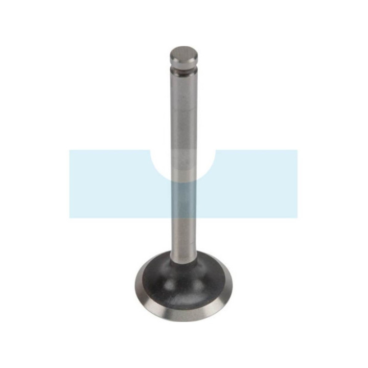 Soupape d'échappement pour moteur Kawasaki (120057006)