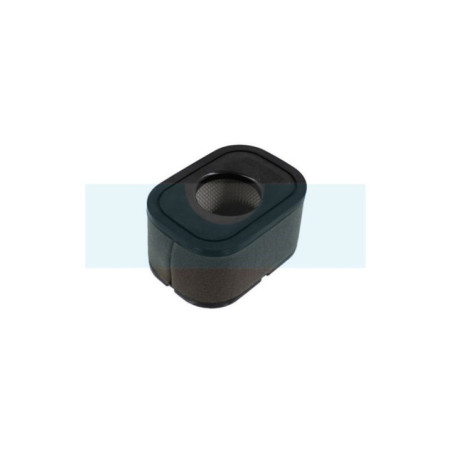 Filtre à air pour moteur Loncin (LC1801001560001)
