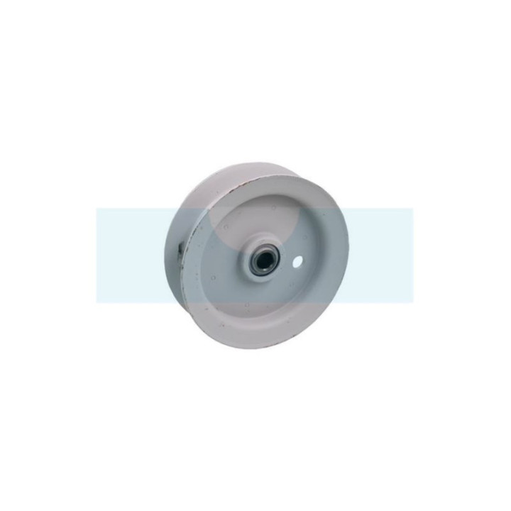 Poulie tendeur pour tondeuse Roques & Lecoeur (0306060036)