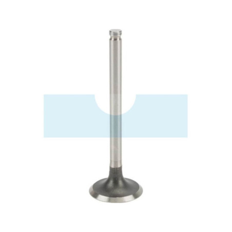 Soupape d'échappement pour moteur Kawasaki (120057004)