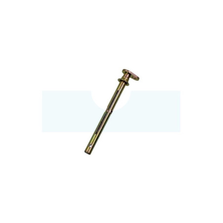 Axe d'accélérateur pour moteur Briggs & Stratton (491006)