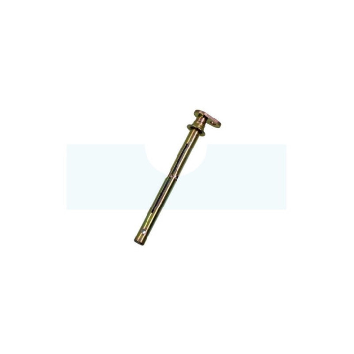 Axe d'accélérateur pour moteur Briggs & Stratton (491006)