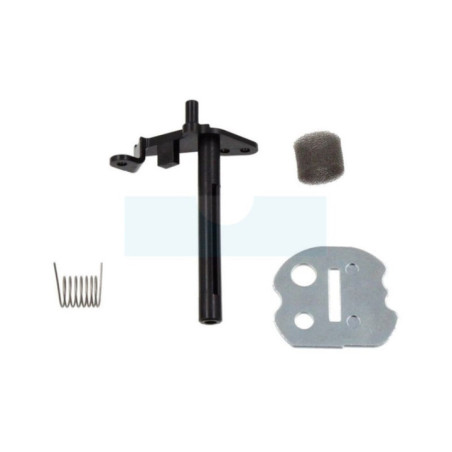 Kit de starter pour moteur Briggs & Stratton (698778)
