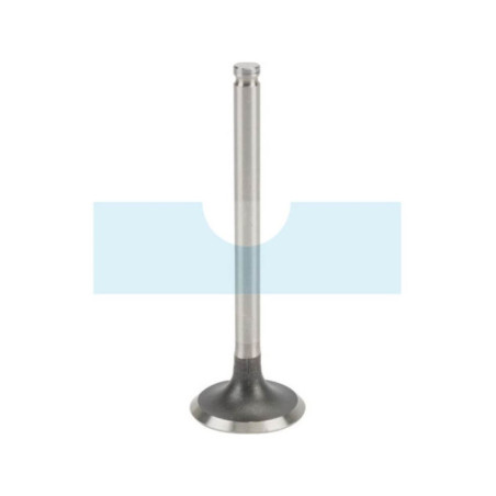 Soupape d'admission pour moteur Kawasaki (120047002)
