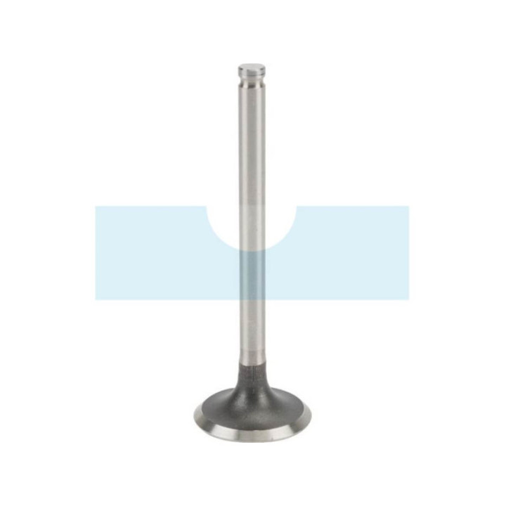 Soupape d'admission pour moteur Kawasaki (120047002)