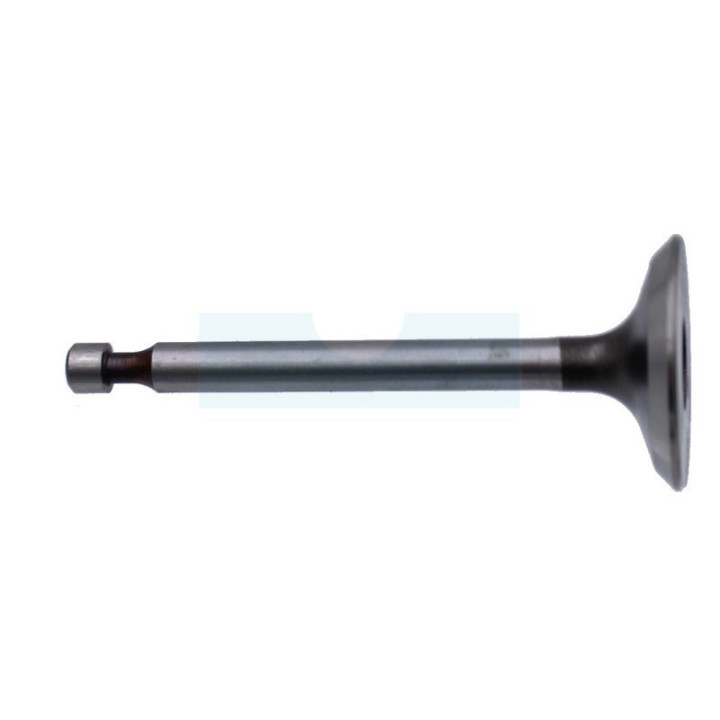 Soupape d'admission pour moteur Kawasaki (120042101)