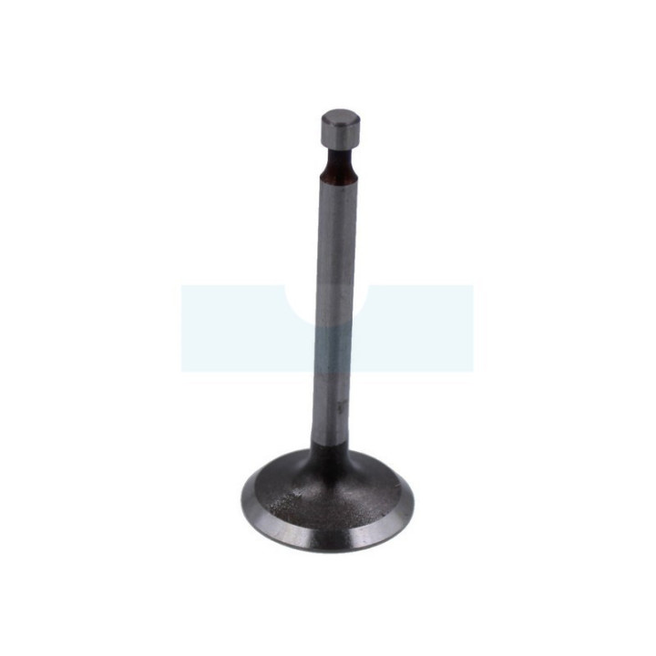 Soupape d'admission pour moteur Kawasaki (120042101)