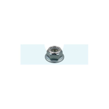 Ecrou pour tracteur tondeuse Snapper (703158)