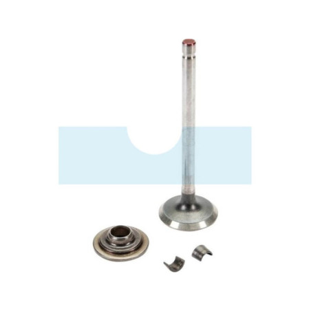 Soupape d'échappement pour moteur Briggs & Stratton (697576)