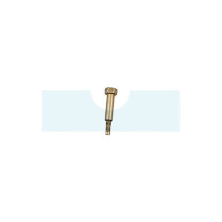 Vis épaulée de carburateur pour moteur Briggs & Stratton (691630)