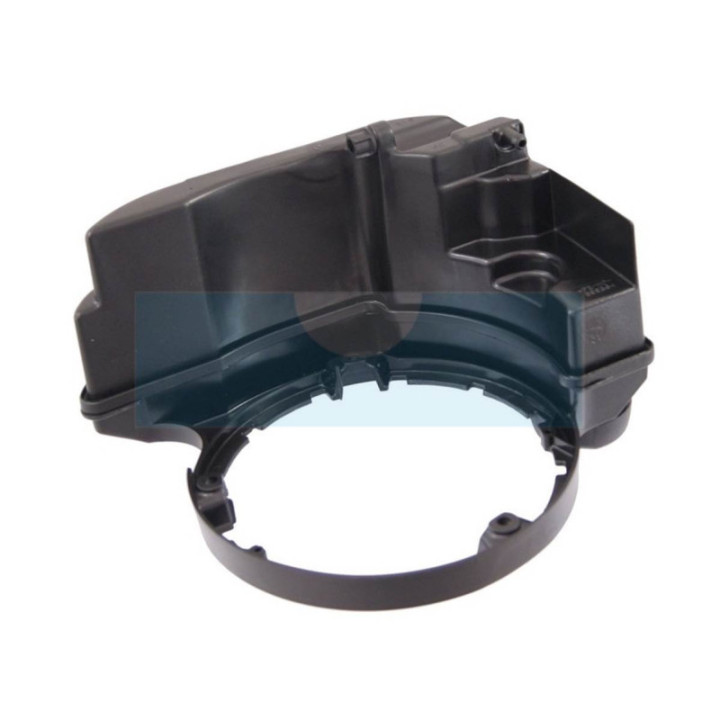 Réservoir de carburant pour moteur Briggs & Stratton (699374)