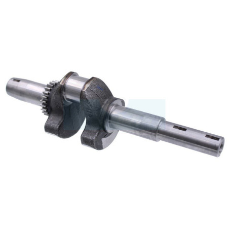 Vilebrequin pour moteur Kawasaki (130312129)