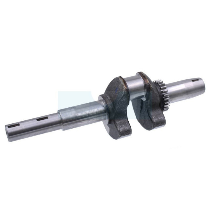 Vilebrequin pour moteur Kawasaki (130312129)