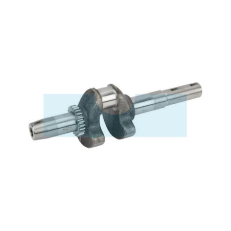 Vilebrequin pour moteur Kawasaki (130312130)