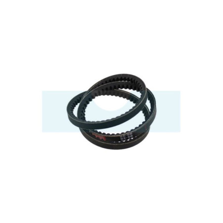 Courroie Mitsuboshi pour rotovator Forges des Margerides (BX56)