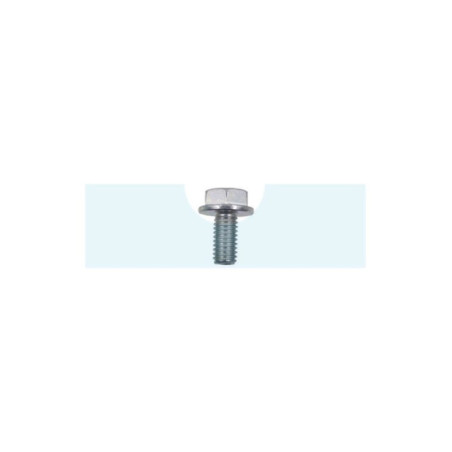 Vis pour moteur Kawasaki (921542938)