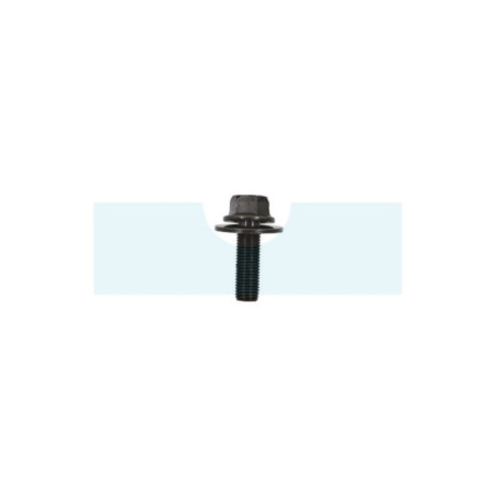 Vis de lame pour tracteur tondeuse Toro (1450411)