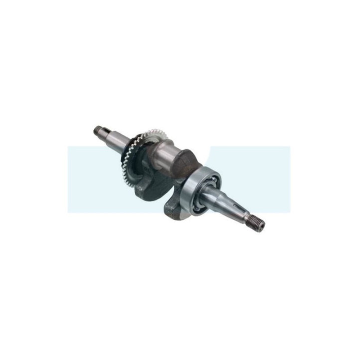 Vilebrequin pour moteur Honda (13310-Z0D-V00)