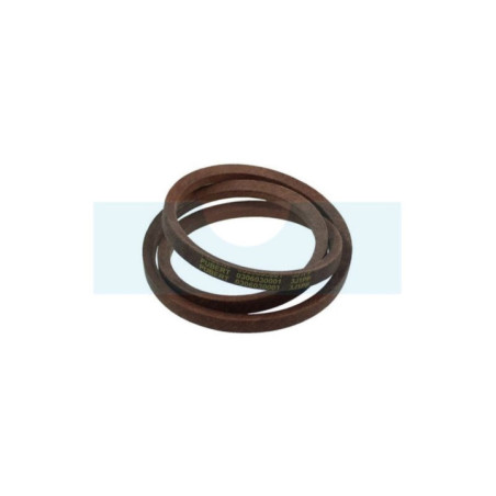 Courroie pour motoculteur Staub (70125692)