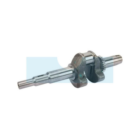 Vilebrequin pour moteur Kawasaki (130312131)
