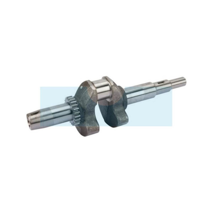 Vilebrequin pour moteur Kawasaki (130312131)