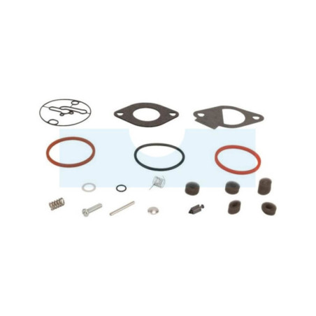 Kit réparation de carburateur pour moteur Briggs & Stratton (796184)