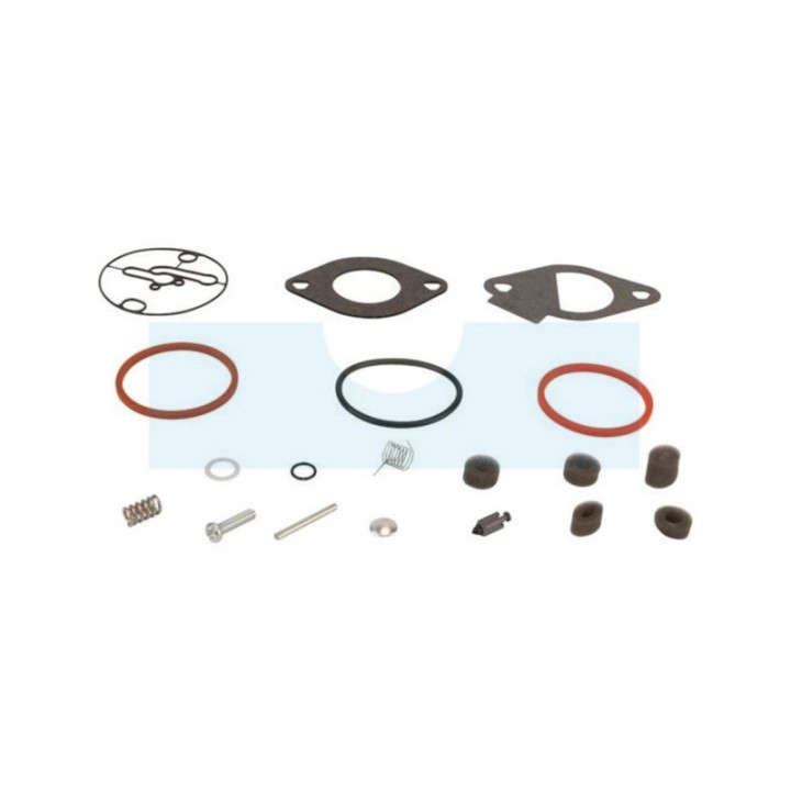 Kit réparation de carburateur pour moteur Briggs & Stratton (796184)