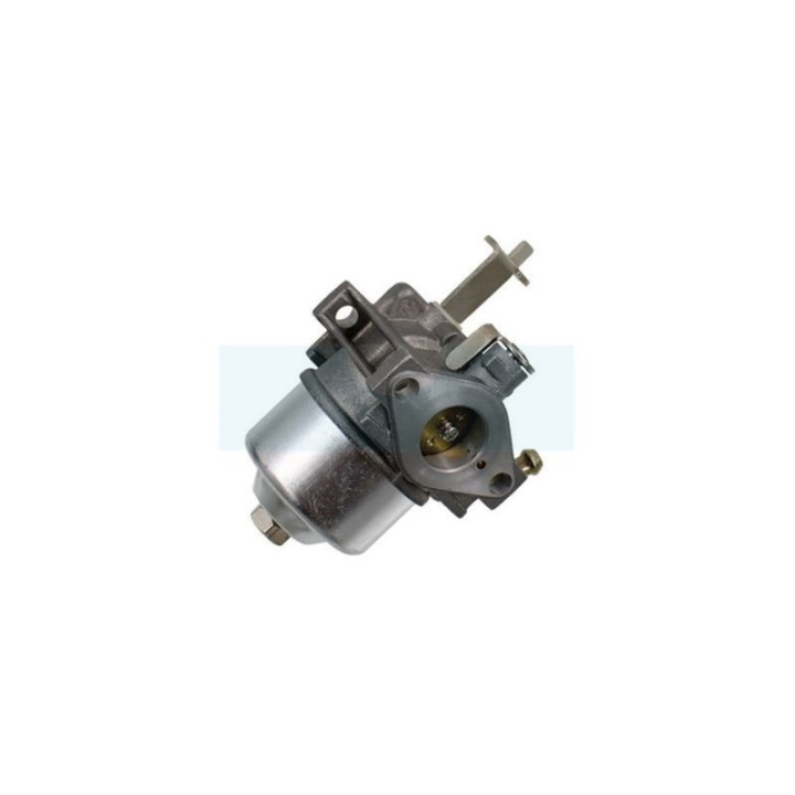 Carburateur pour moteur Robin (2266245110)