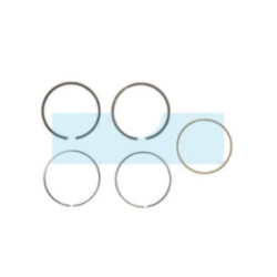 Kit segment pour moteur Briggs & Stratton (791969)