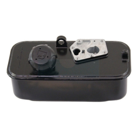 Réservoir de carburant pour moteur Briggs & Stratton (494406)
