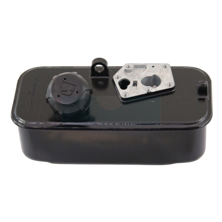 Réservoir de carburant pour moteur Briggs & Stratton (494406)