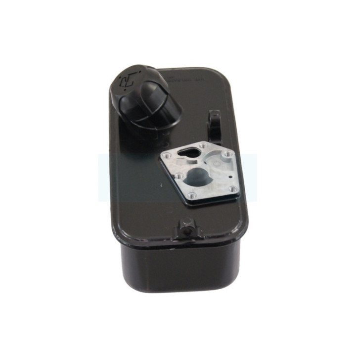 Réservoir de carburant pour moteur Briggs & Stratton (494406)
