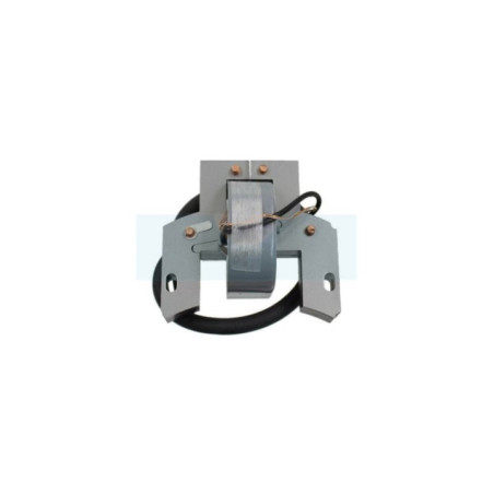 Bobine d'allumage pour moteur Briggs & Stratton (793352)