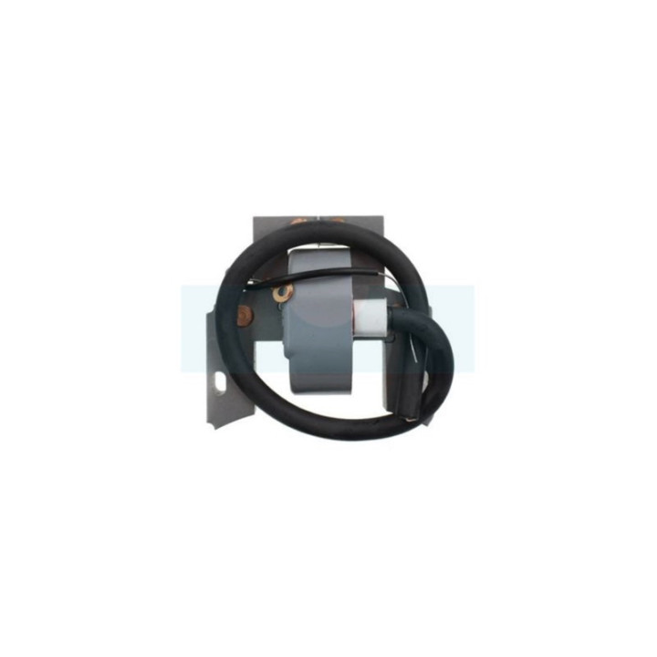 Bobine d'allumage pour moteur Briggs & Stratton (793352)