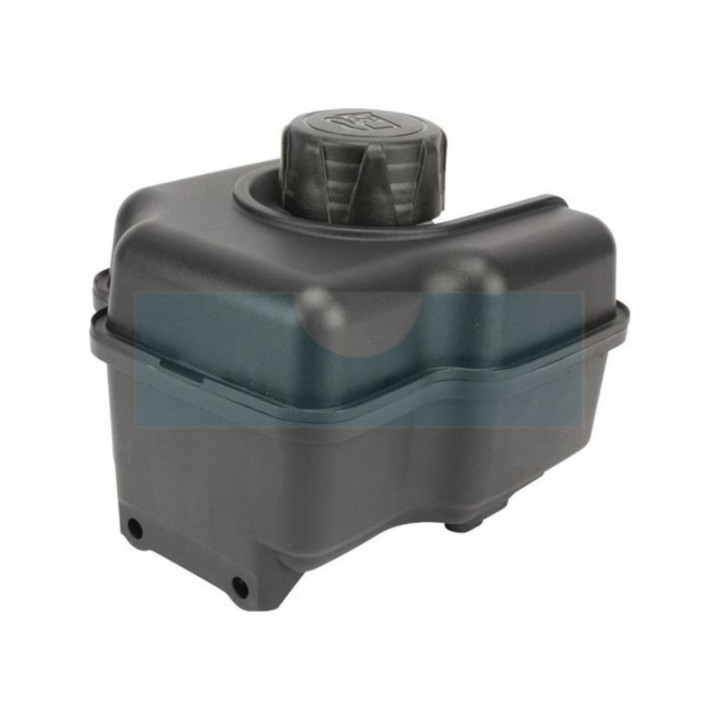 Réservoir de carburant pour moteur Briggs & Stratton (799863)