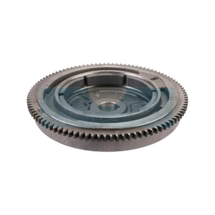Volant d'inertie pour moteur Kohler (2402555S)