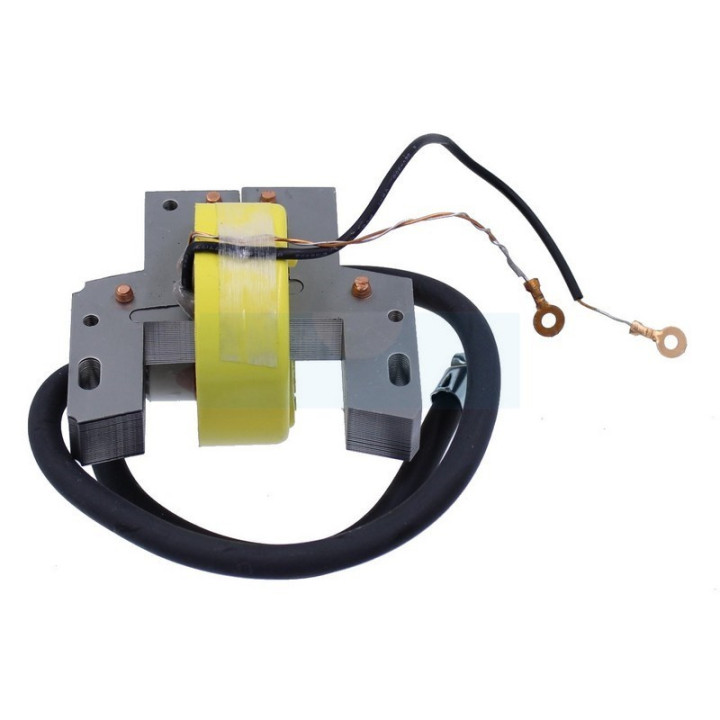 Bobine d'allumage pour moteur Briggs & Stratton (298968)